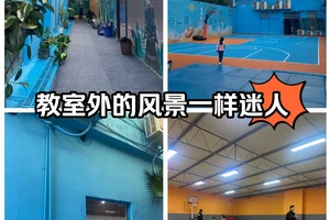  如何在家里为篮球运动员设置放松区域：打造专属恢复空间